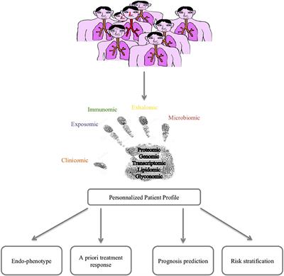 Needs for Systems Approaches to Better Treat Individuals With Severe Asthma: Predicting Phenotypes and Responses to Treatments